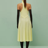 Alex midi dress