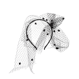 Headband with veil and crystals