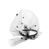 Headband with veil and crystals