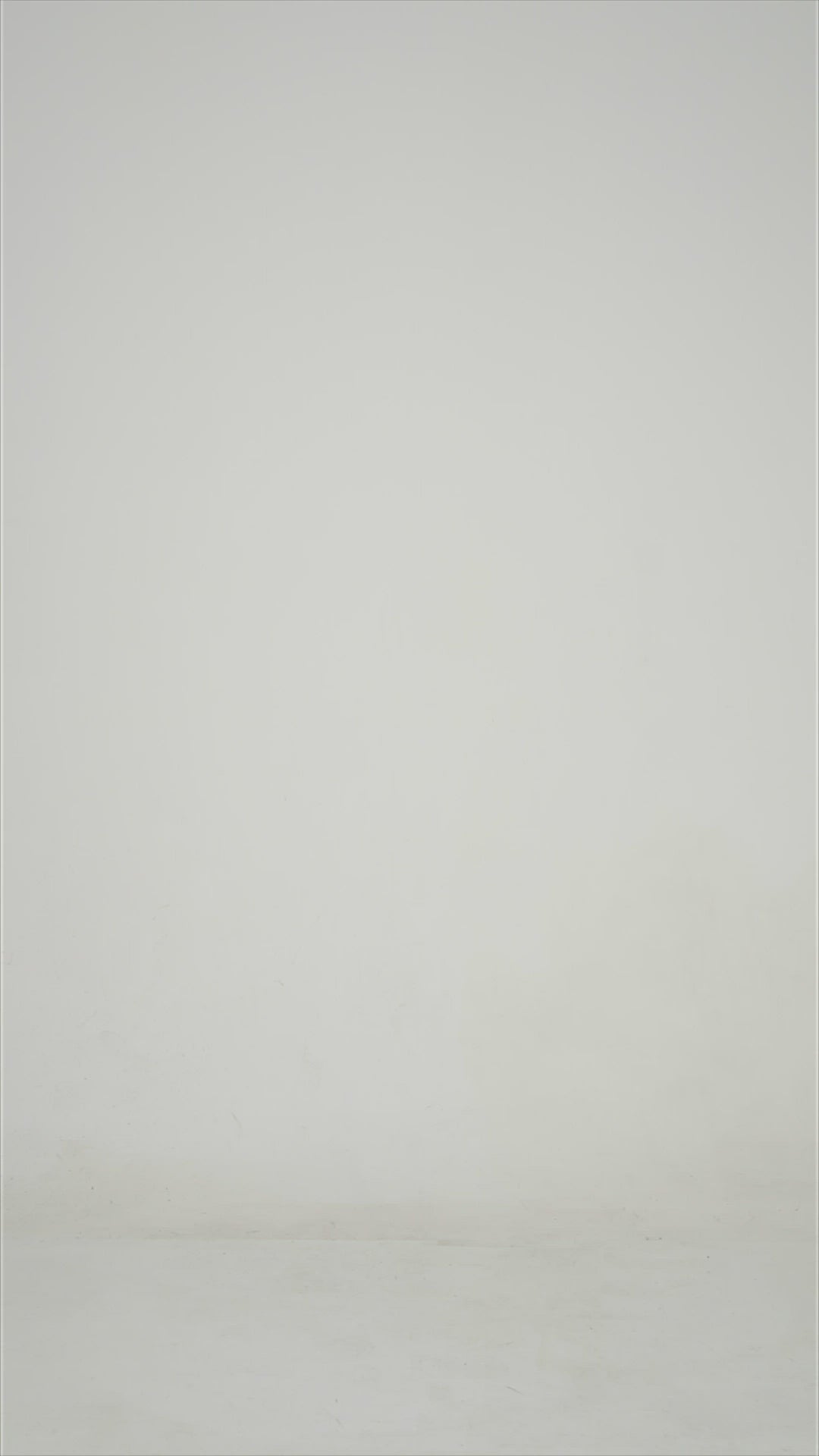 White Alyssum shorts